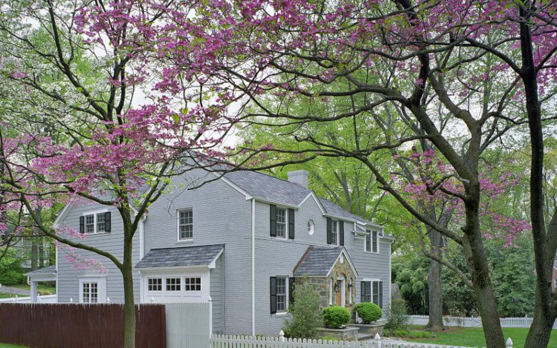 exteriorhouse